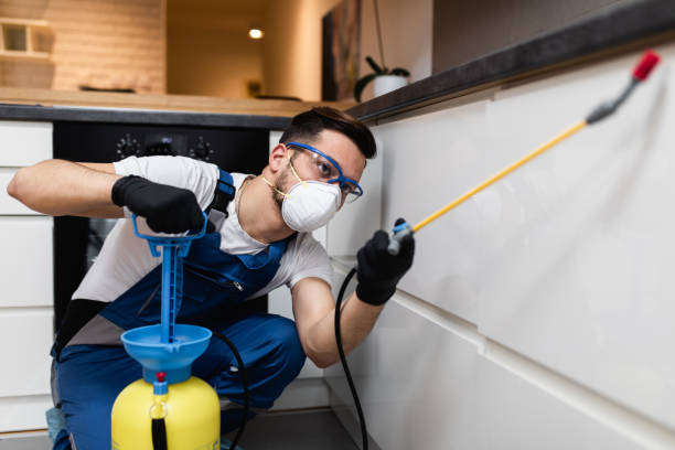 Best Wildlife Control Services  in Arlington, OH