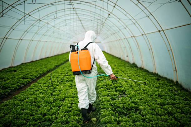 Best Residential Pest Control  in Arlington, OH