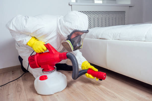 Best Local Pest Control Services  in Arlington, OH