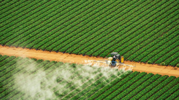 Best Commercial Pest Control Services  in Arlington, OH