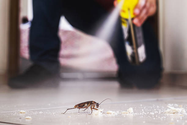 Trusted Arlington, OH Pest Control Experts